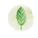 Green-leaf-icon-symbolizing-spring