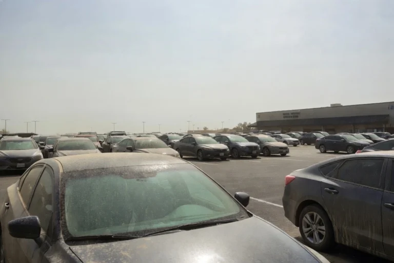 Dusty cars covered in thick dirt parked in a large sunny parking lot