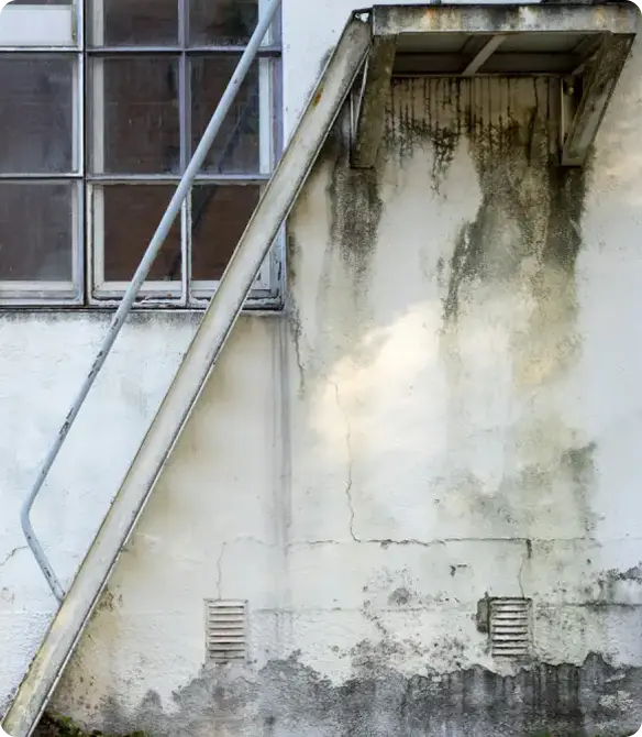Why charlotte properties need professional pressure washing
