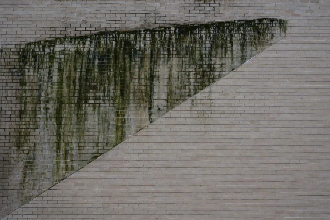 Greensboro commercial brick wall with algae buildup on one half and a soft-washed clean section on the other